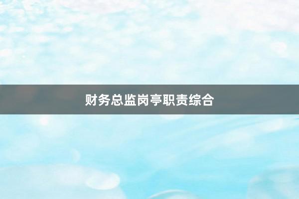 财务总监岗亭职责综合