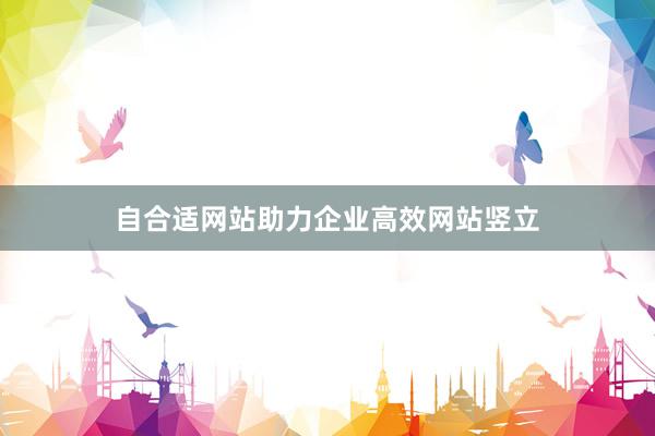 自合适网站助力企业高效网站竖立